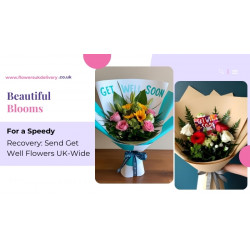 Beautiful Blooms for a Speedy Recovery: Send Get Well Flowers UK-Wide